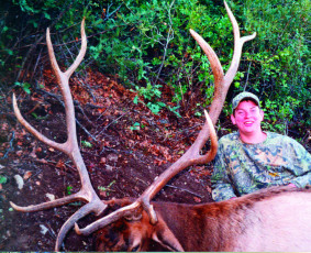 Maddox Dillion NM Draw 08