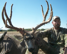 Shimic Shad MD Hunt
