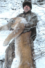Mtn Lion UT Draw