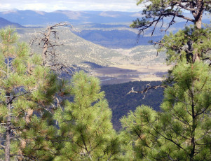 More Huntin' Views