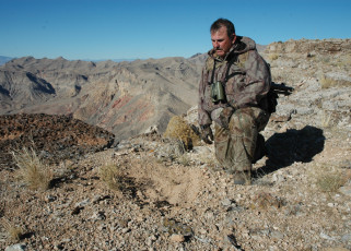 Sheep Spotting and Tracking