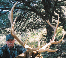 2007_Jimmy_Littles_Elk