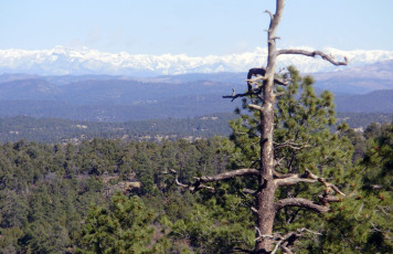 USO's Old Huntin' Grounds
