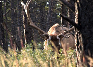 2014 Hunt Photos