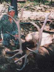 2007_Bill_Gartner_Elk