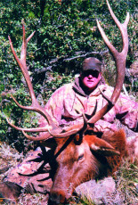 Simpson Don AZ Draw 08