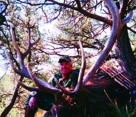 Baldwin Dave Bull Elk 08