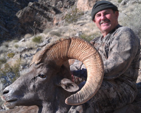 Funkhouser Al Draw Sheep