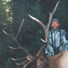 2007_Paul_Oppegard_Elk