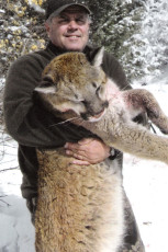 Mtn Lion UT Draw