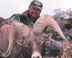 2007_Dan_Jessop_Sheep