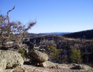 2013 Hunt Photos