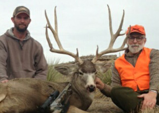 Mule Deer