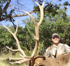 Elk Hunt