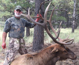 Elk Hunt