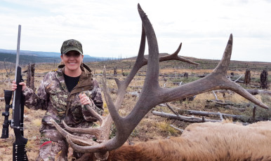 Elk Hunt