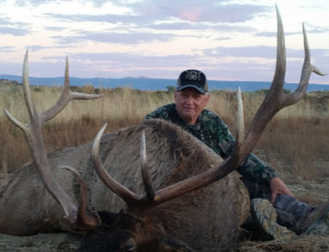 Elk Hunt
