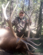 Elk Hunt