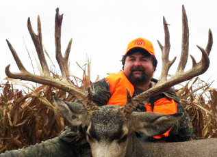 Mule Deer