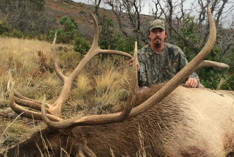 Elk Hunt