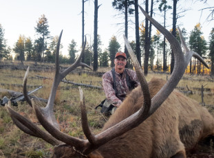 Elk Hunt