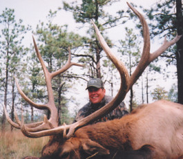2007_David_Ott_Elk