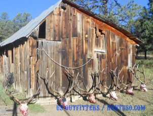 Johnson John Camp NM Private