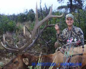 Snodgrass Kent NM Draw