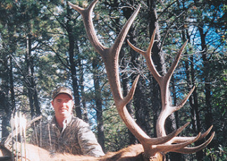 2006_Ronnie_McDill_Elk