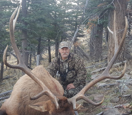 Nuanes Michael NM Draw