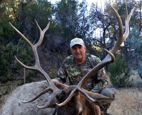 Beretta Marco NM Draw