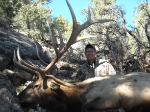 Hollendonner Keith UT Draw