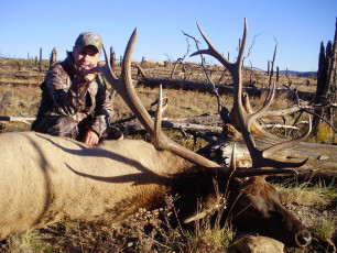 Frisco Fred NM Private