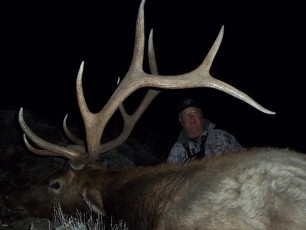 Lester Thomas NV Draw