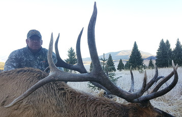 Bollinger Zake NM Draw