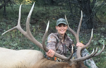 Greeno Wendy NM Draw