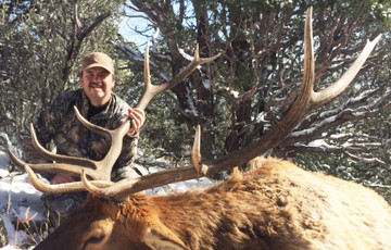 Martin Michael AZ Draw