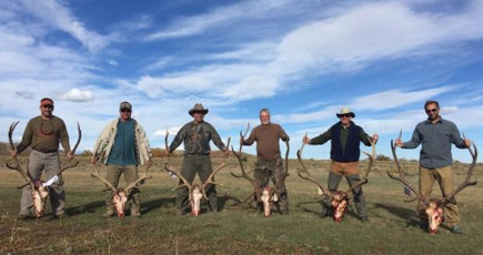 Tucker Group NM Private