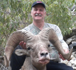 Conard Joseph ID Sheep