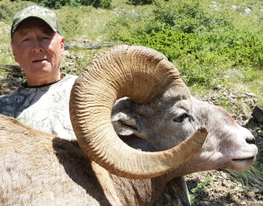 Watson Henry NM Draw