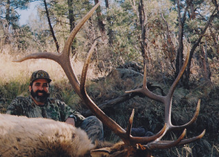 2006_Joe_BlonskyJr_Elk