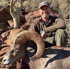 Briggs Craig MX Sheep