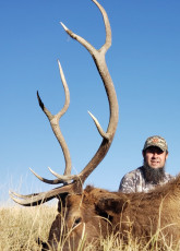 Chupp Vernon NM Priv