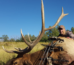 Elk Hunt