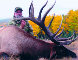 Peterson Davis NM Draw 08