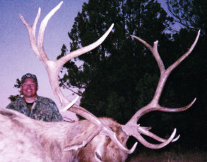 Austin Mike AZ Draw 08