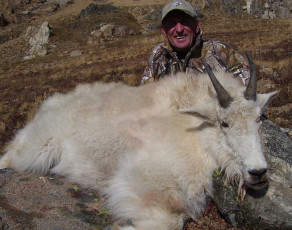 Taulman George MT Draw