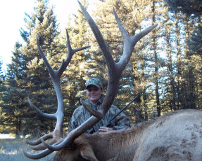 Taulman Sierra NM Draw