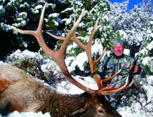 Shoman Tom NV Draw 08