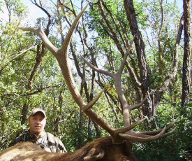 Elk Hunt